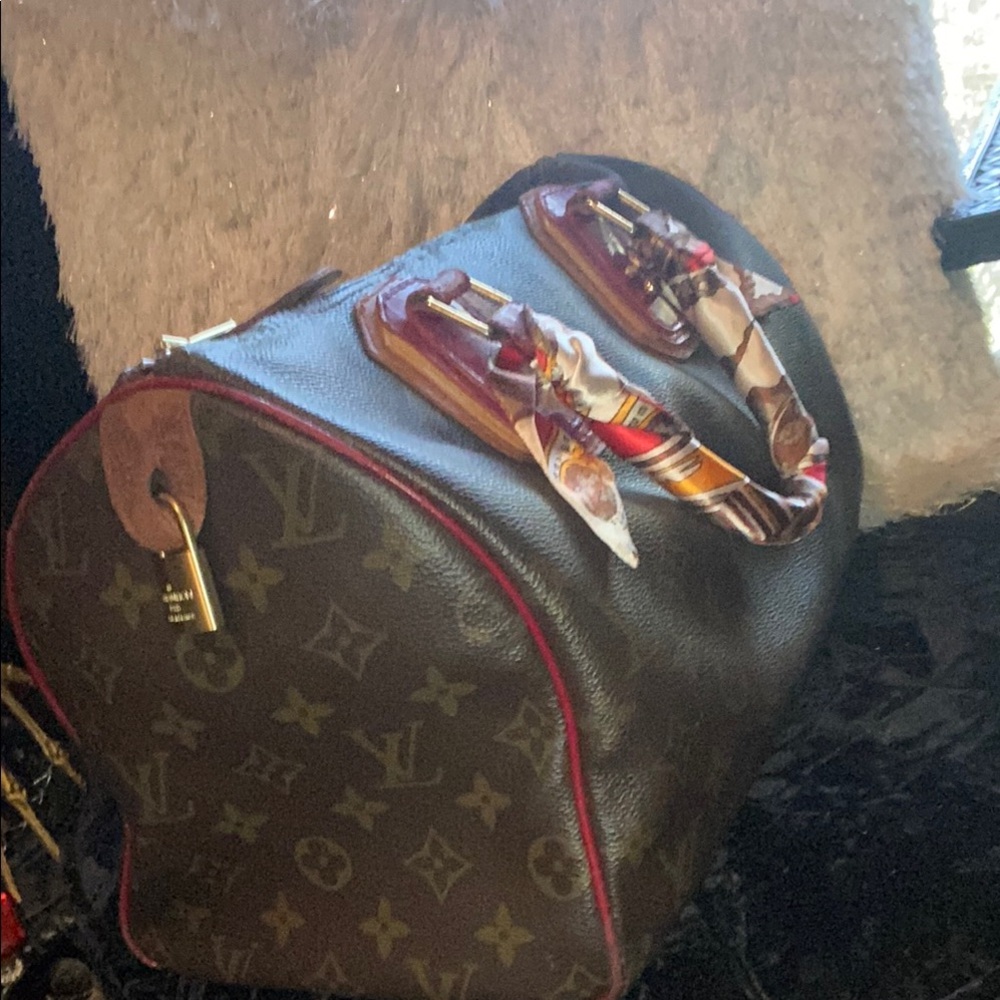 Louis Vuitton Speedy Special Edition Bag - Picture 13 of 16
